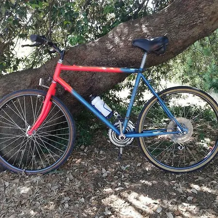 Suara Affitti - Bike